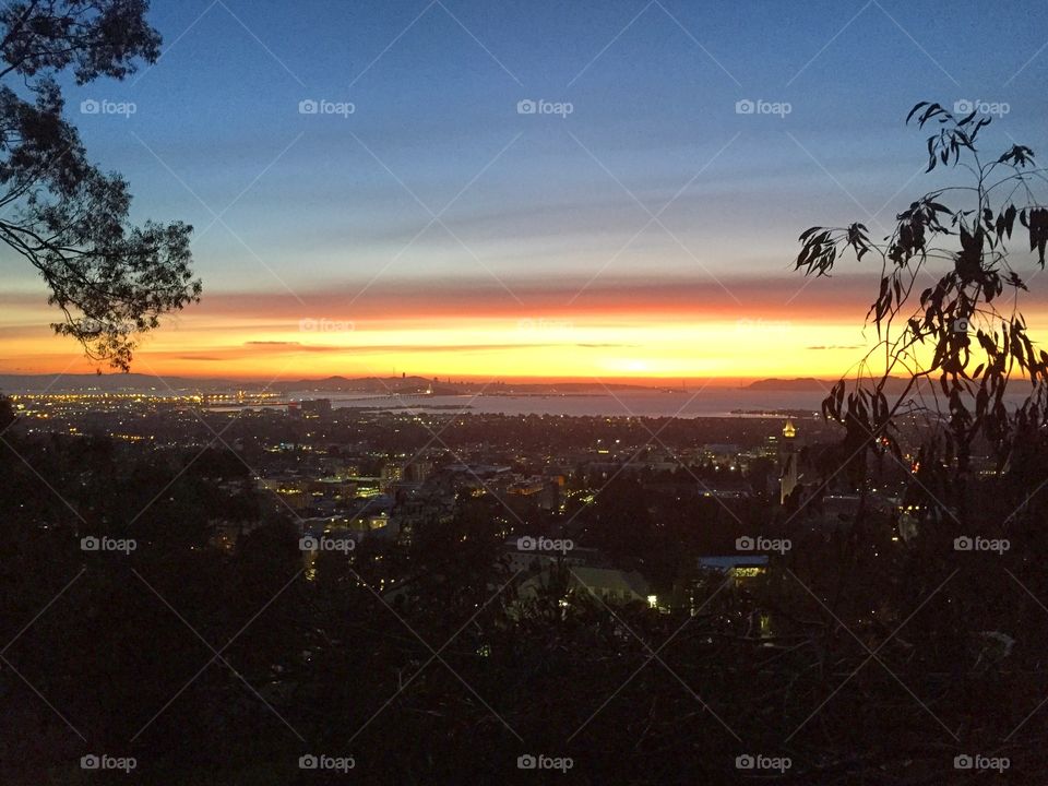 Overlooking Berkeley 
