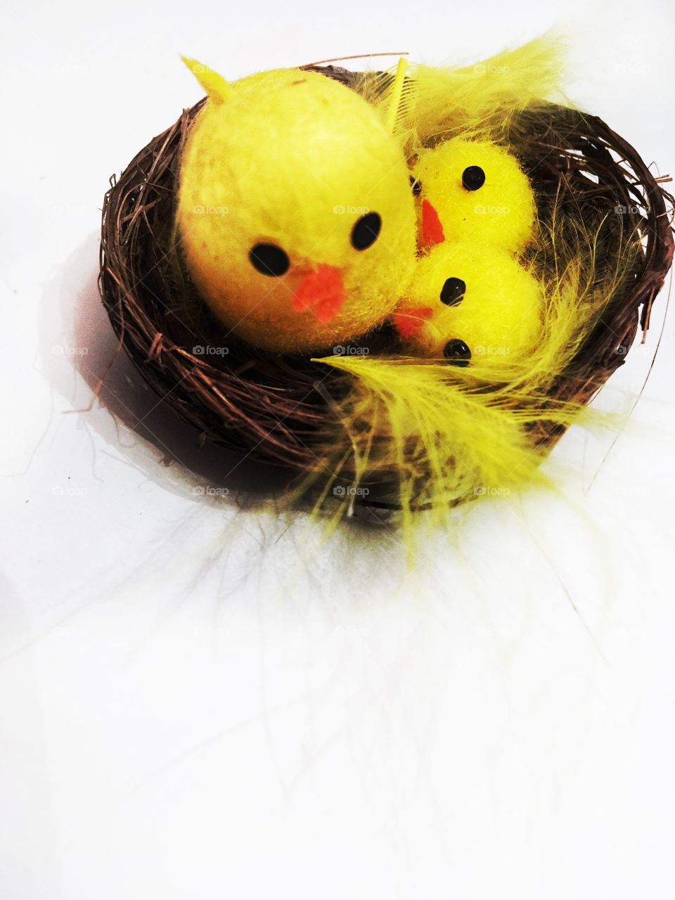 Easter chicks in nest isolated