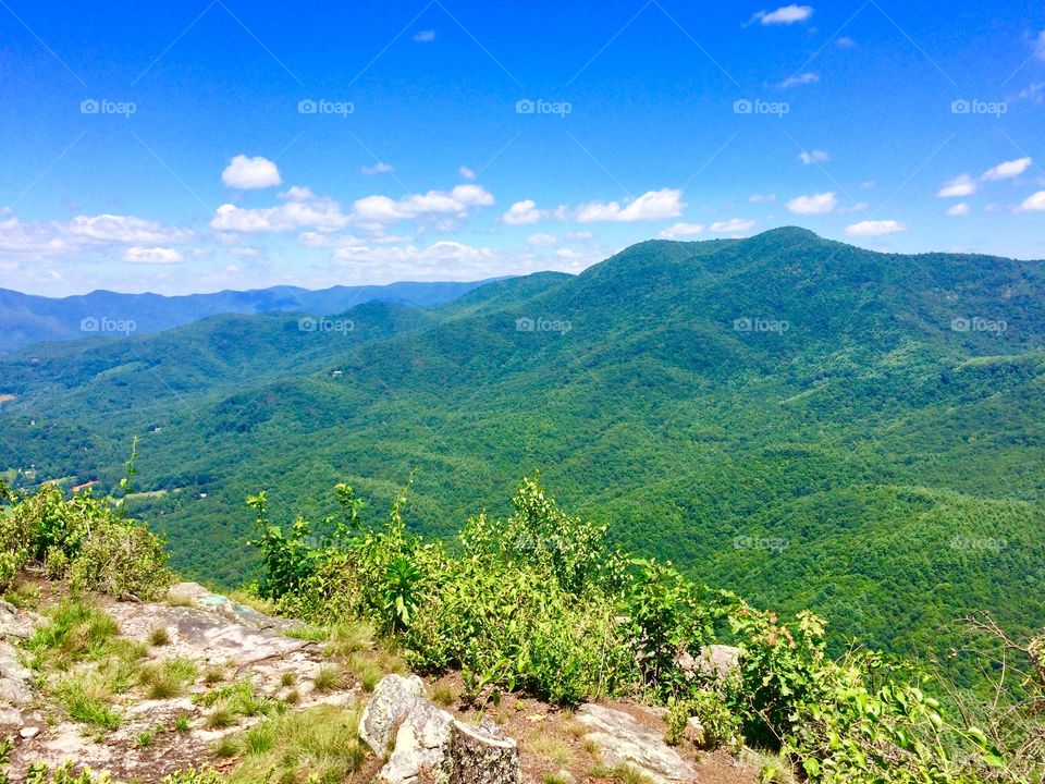 I captured this photo while I was hiking up in Hiawassee, in the North Georgia Mountains! 