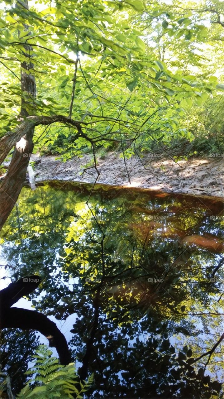 stream in New Hampshire