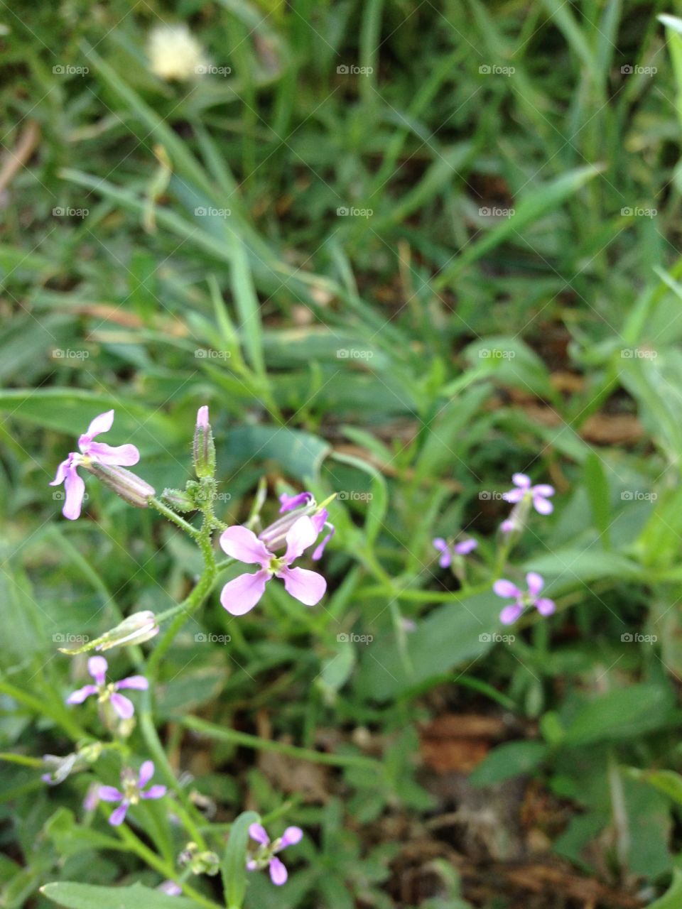 Take a break and smell the flowers 