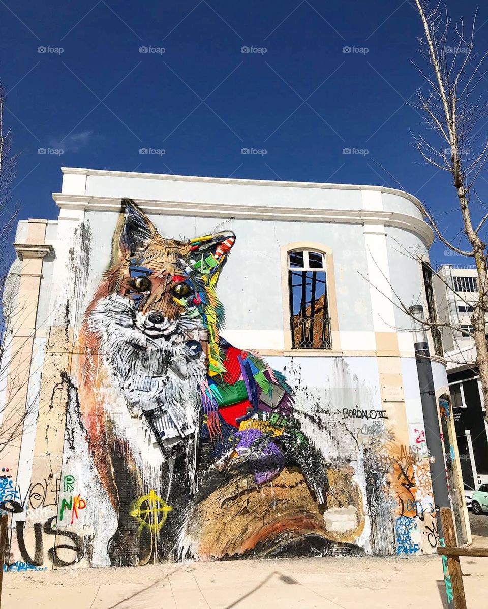 Beautiful street art in Lisbon streets 