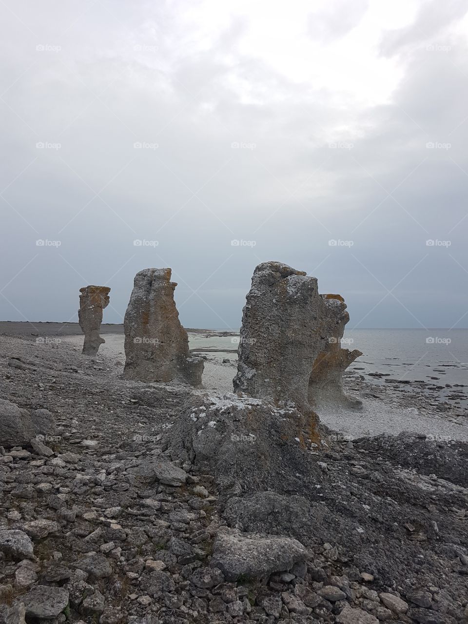 rauks