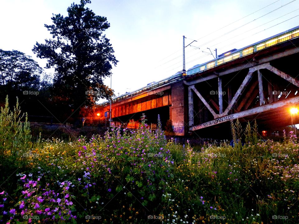 this my favourite spore to what the commute train goes buy