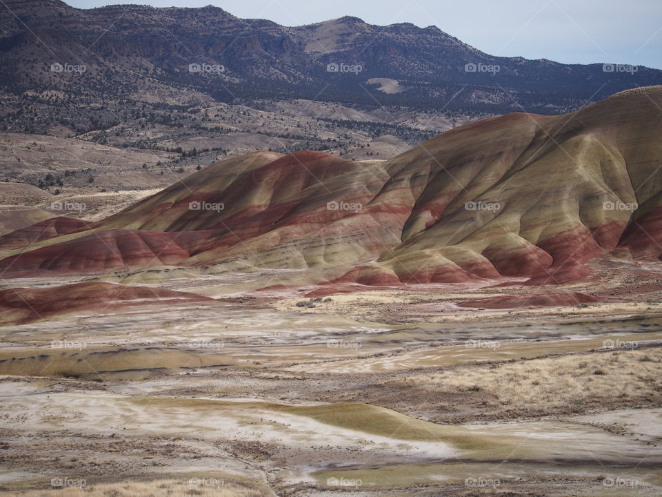 The incredible beauty of the red, gold, and browns of the textured Painted Hills in Eastern Oregon on a bright sunny day.