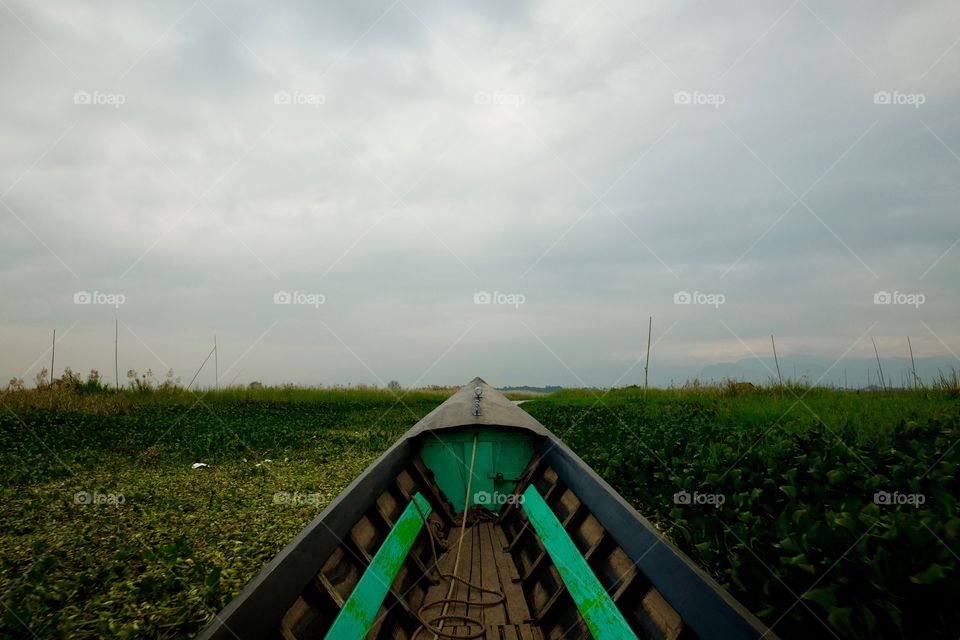 Boating on water plants