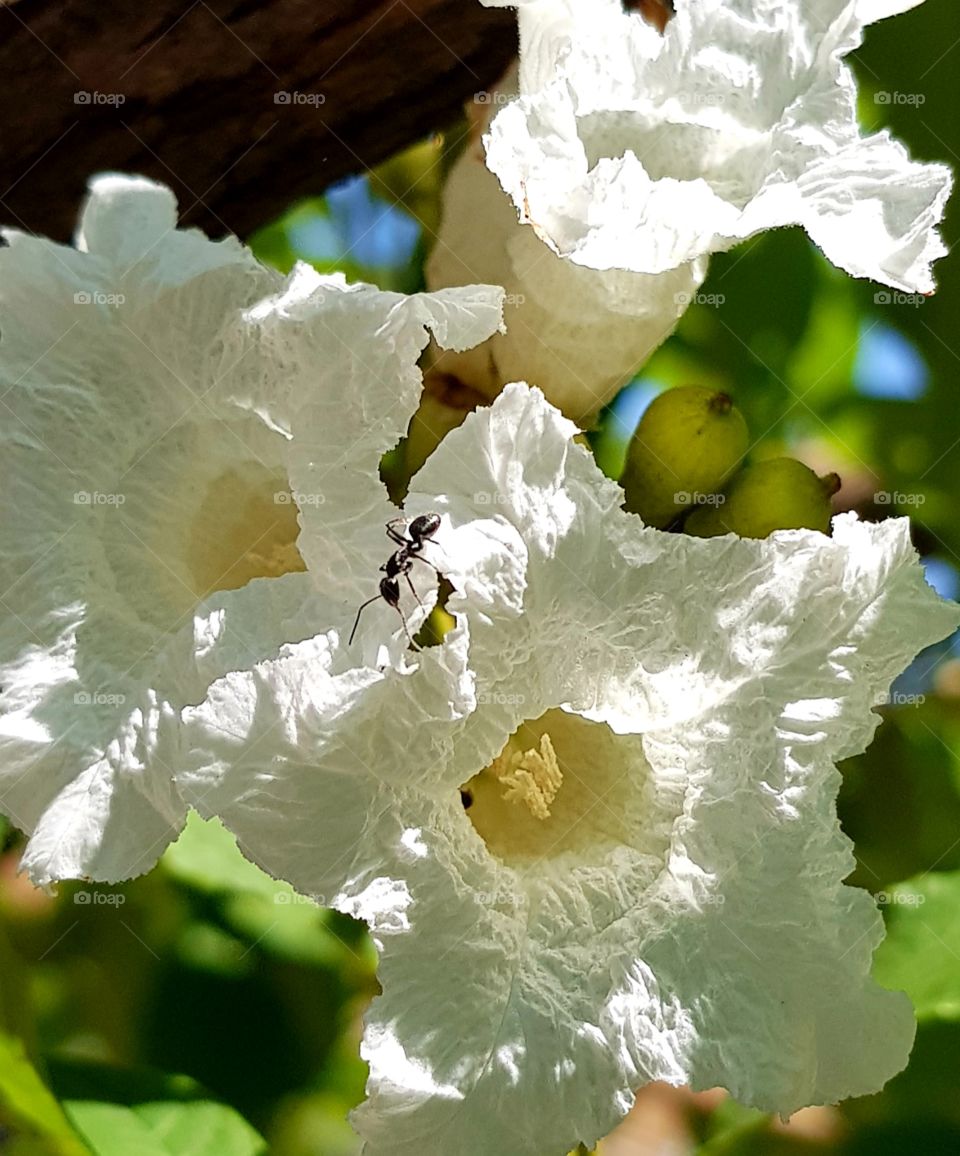 textures of the world