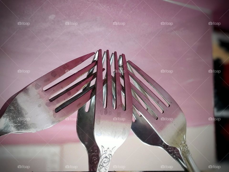 Fork reflections