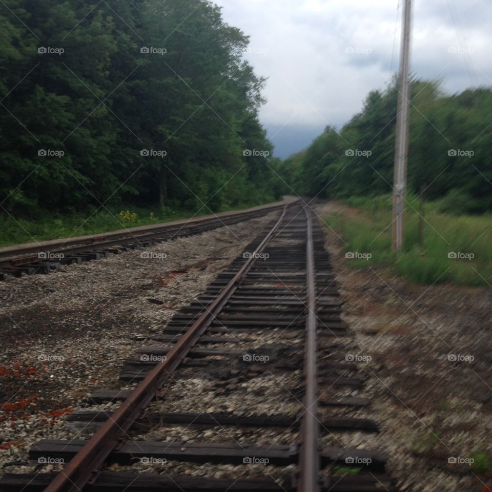 Railroad . Abandoned railroad in Mansfield. 