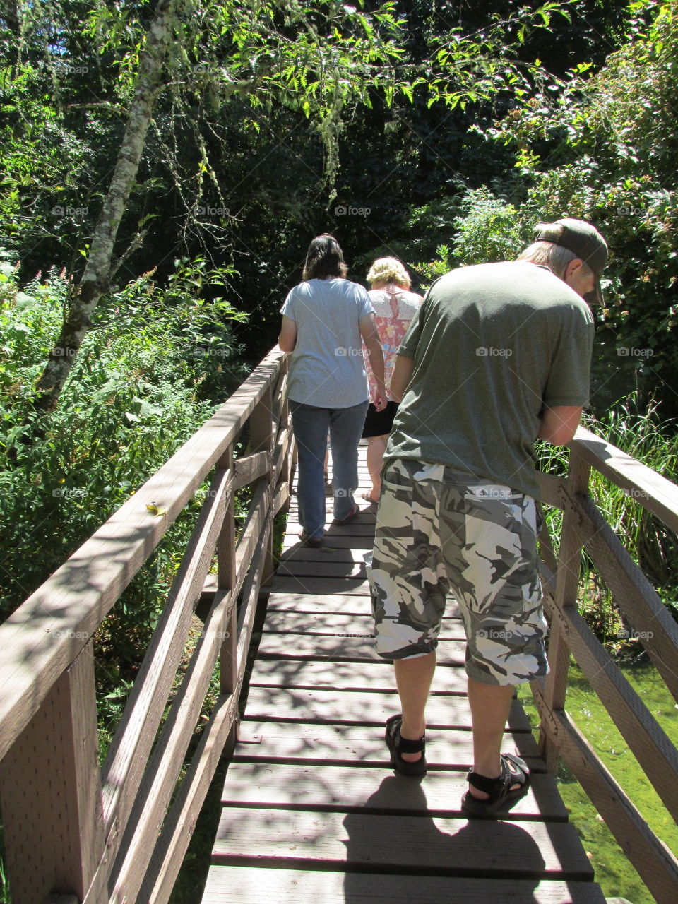 Wood, Park, Tree, Outdoors, Nature