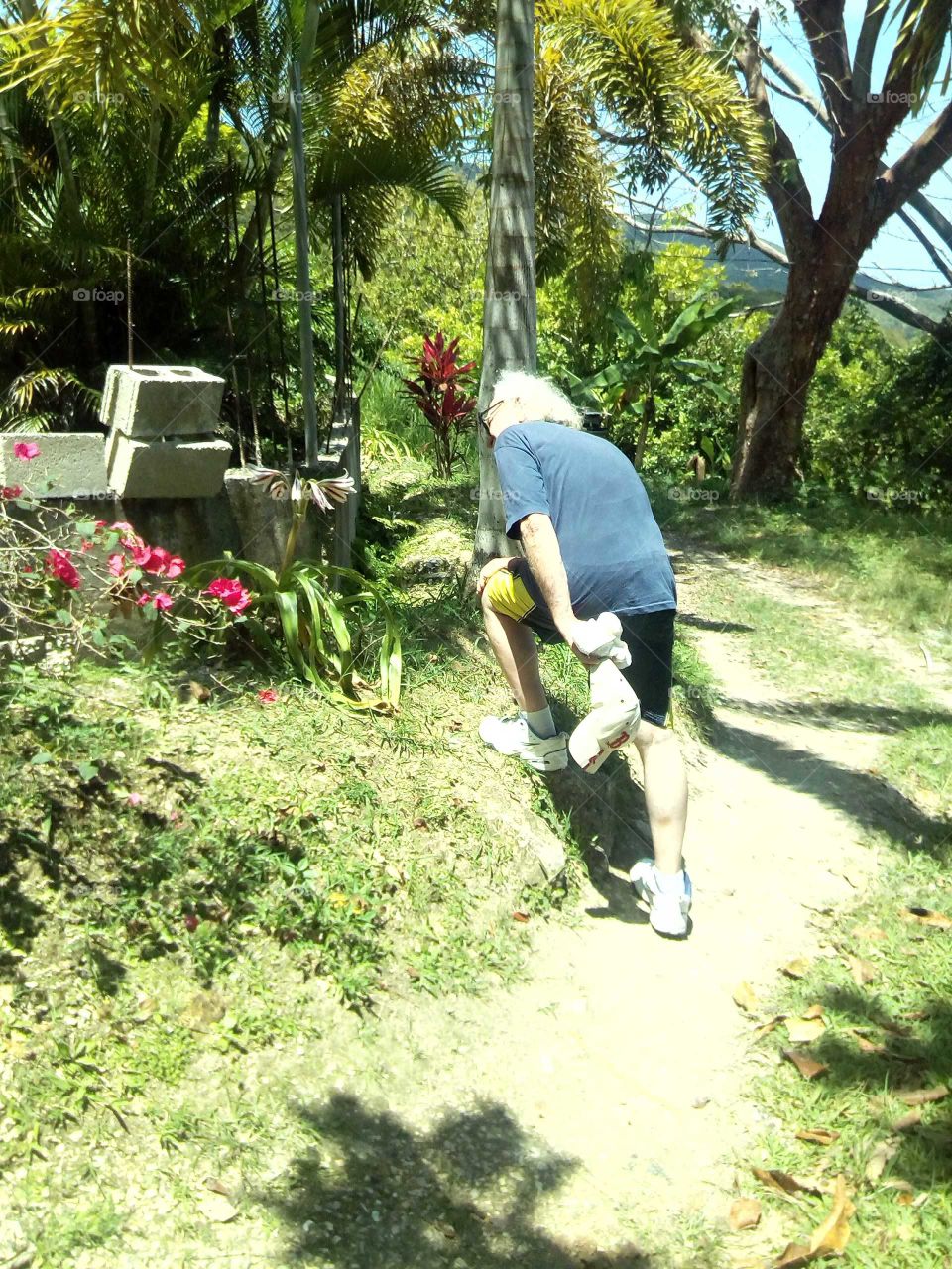 this picture is very beautiful and colour ful we should all take a walk some time