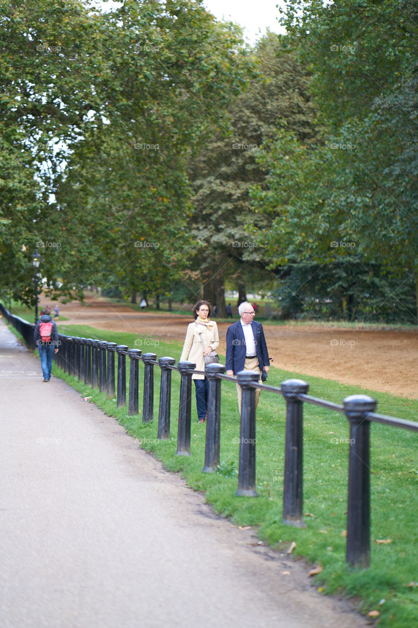 Autumn in the Park 