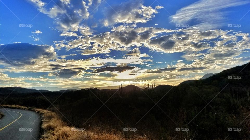 Sonora desert highway