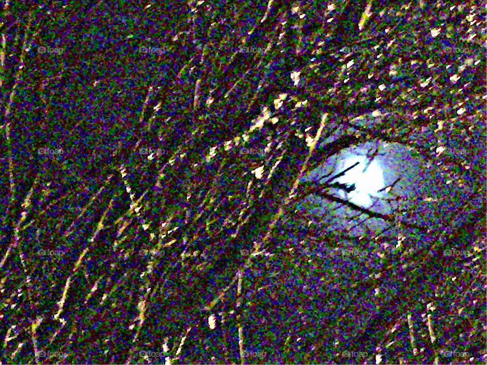 Full Moon Cold Ice