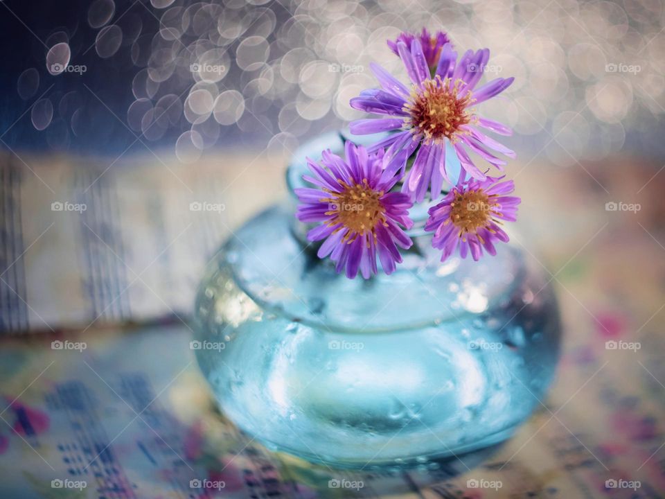 flowers in a vase 