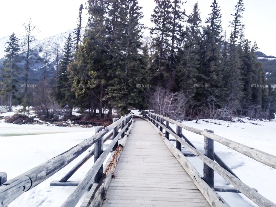 Wooden bridge going through woodland at pyramid island