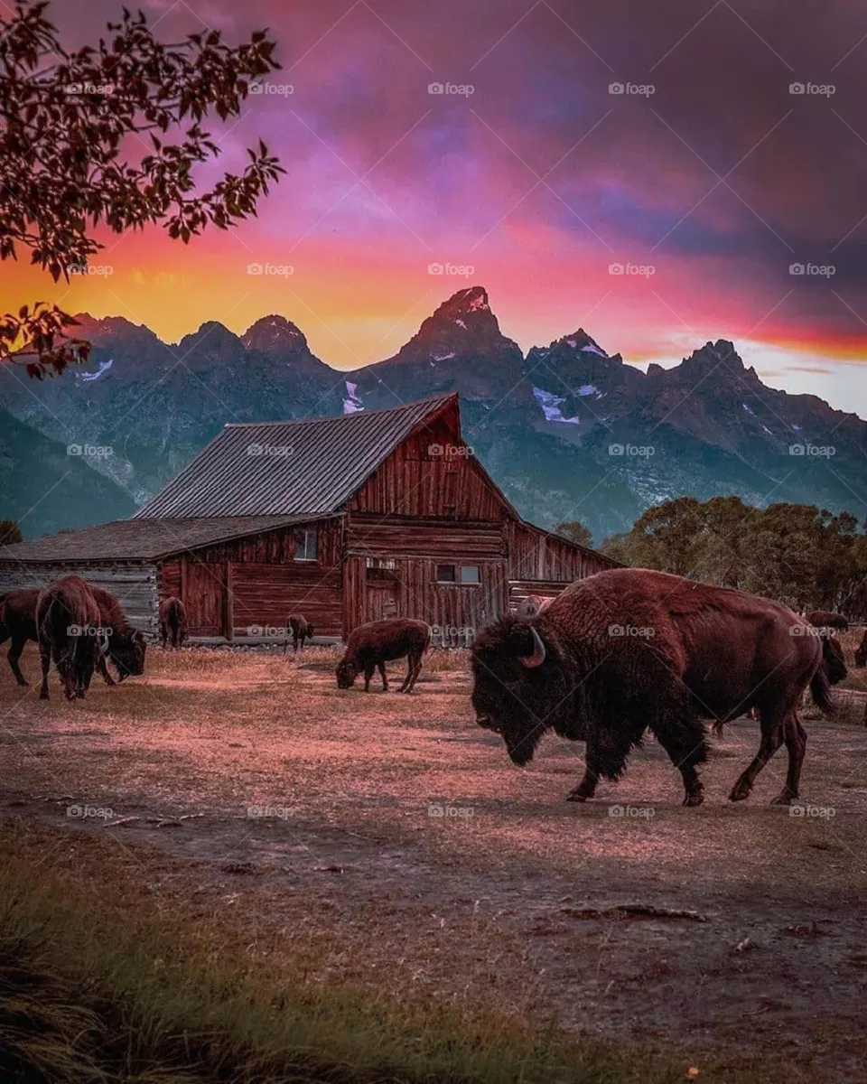 natural sky home