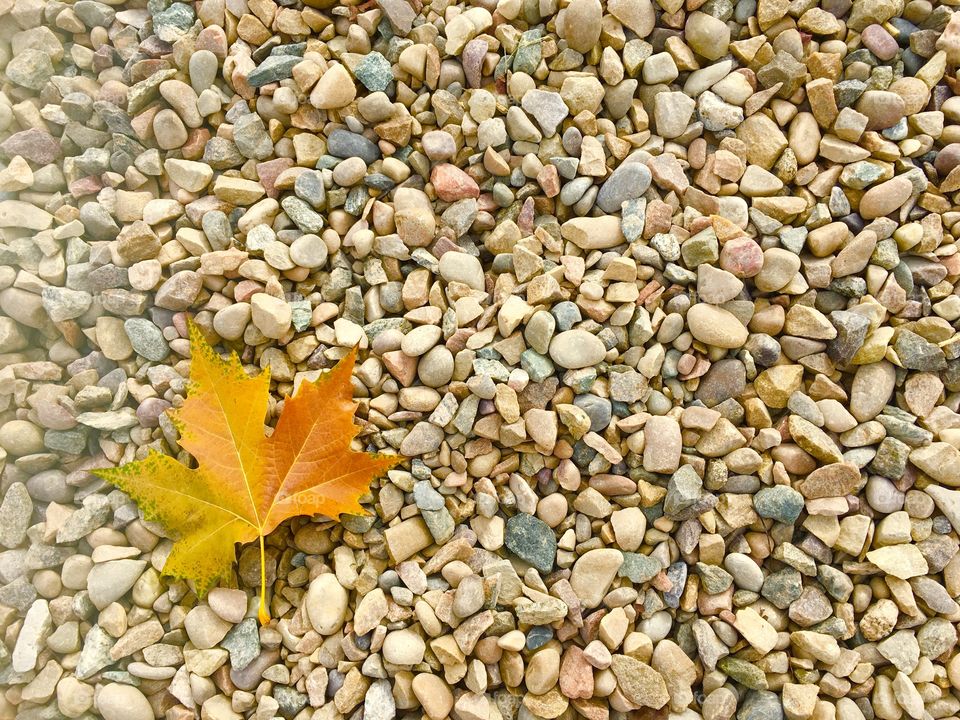 Dry, Texture, Desktop, Pattern, Nature