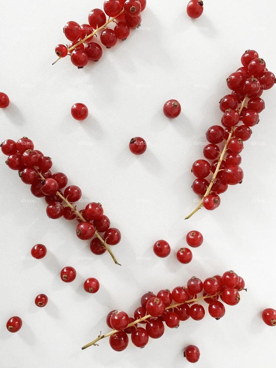 Red currant 