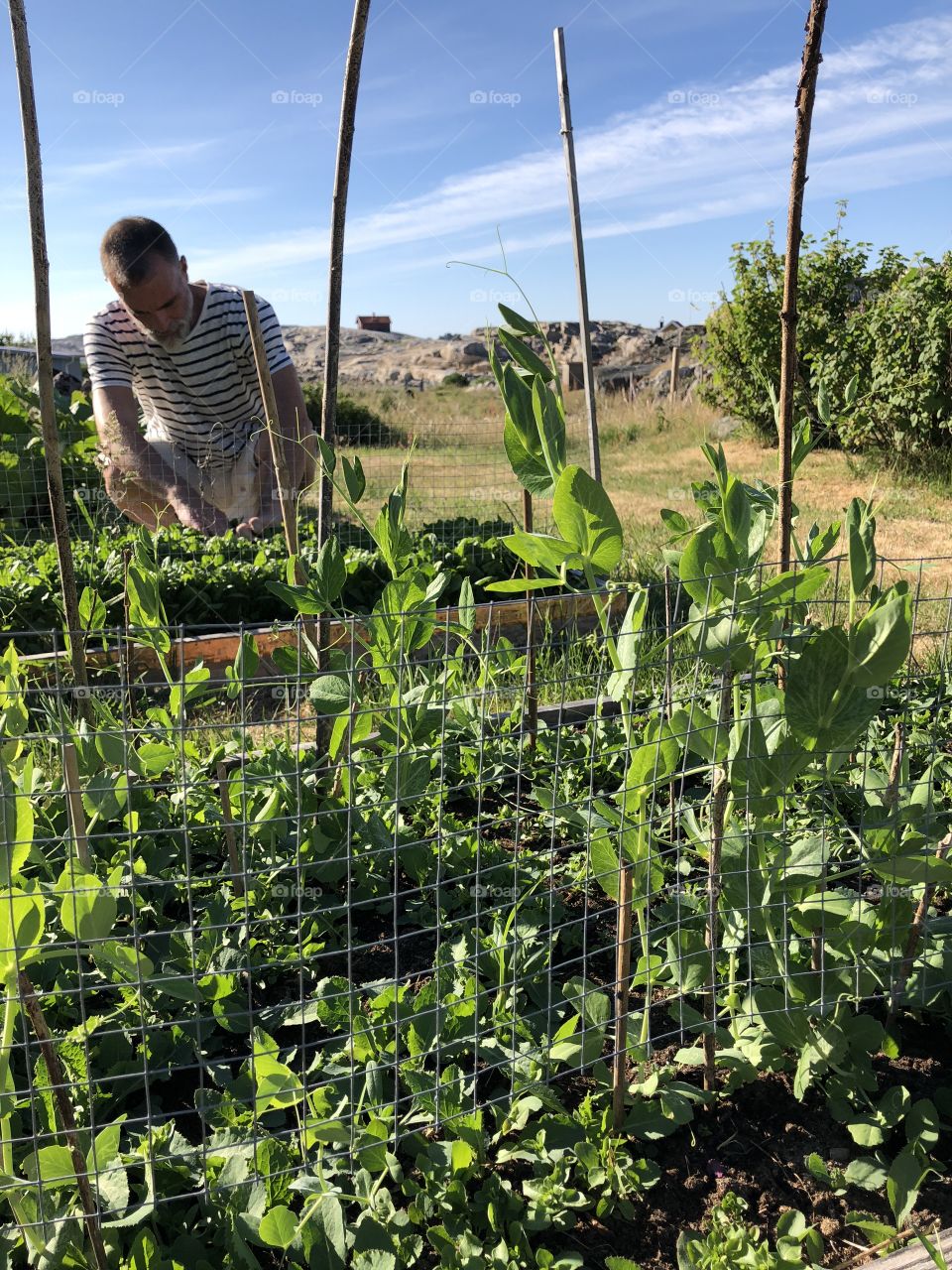 Gardening