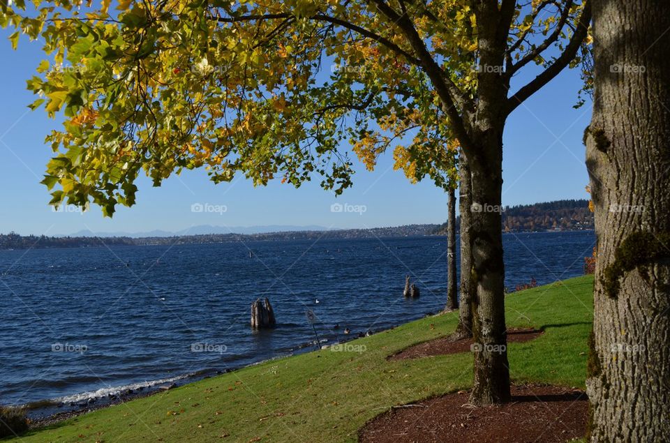 View of the Lake