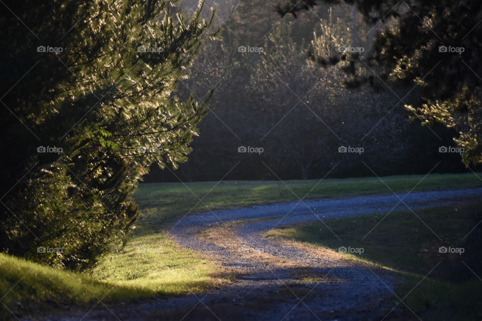 down the winding path