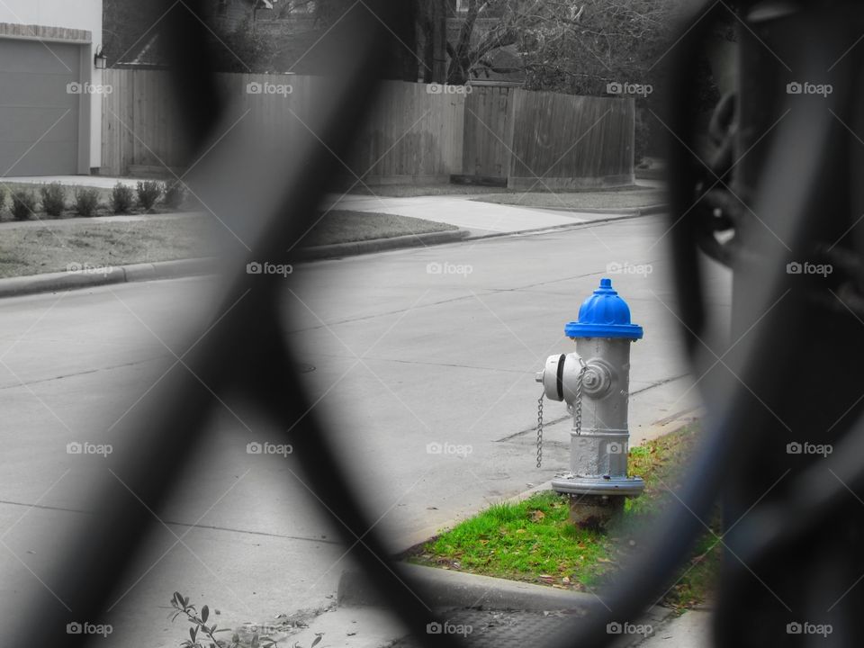 A blue fire hydrant is framed by a black wire fence