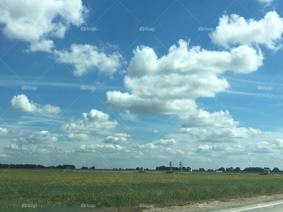 Fields and sky 