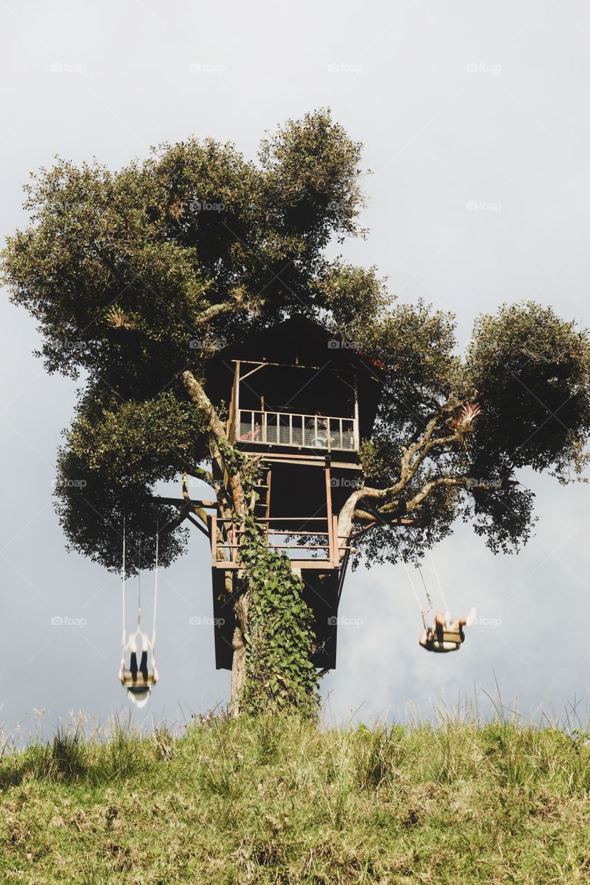 Dream tree house with swings