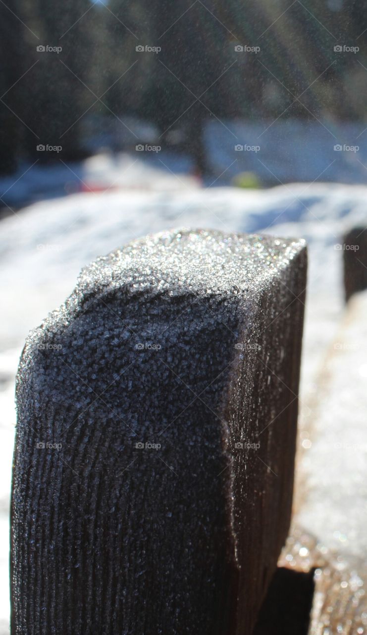 sunlight on a snowy day