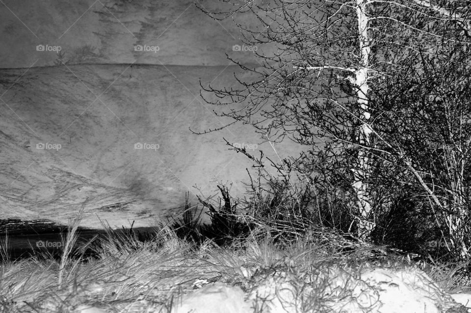 Tried the infrared filter for this scene. The photo was taken at an old coal mine slag heap shown white in the background. The frosty branches almost look like shimmery coal & the steam rising off the melting frost looks like black coal dust. 