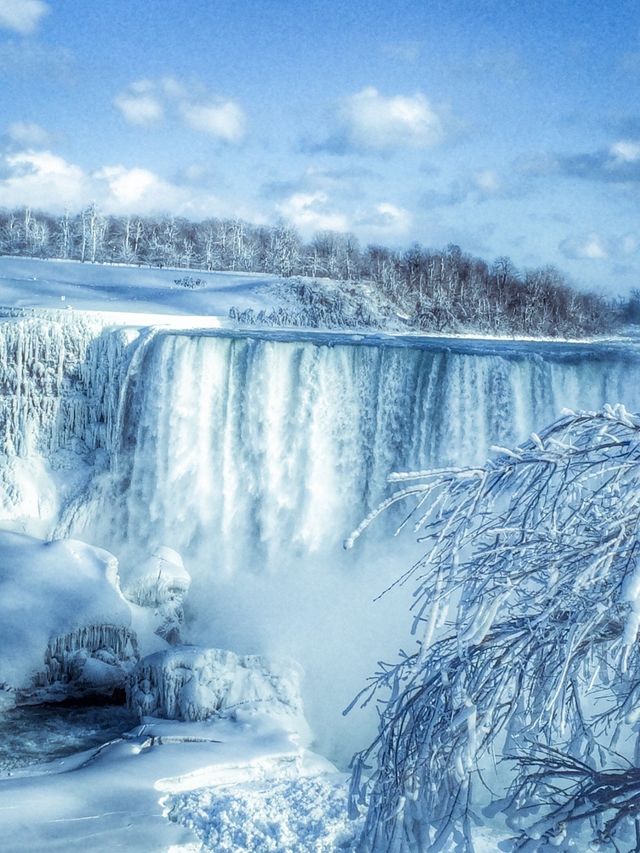 Natures Winter Wonderland