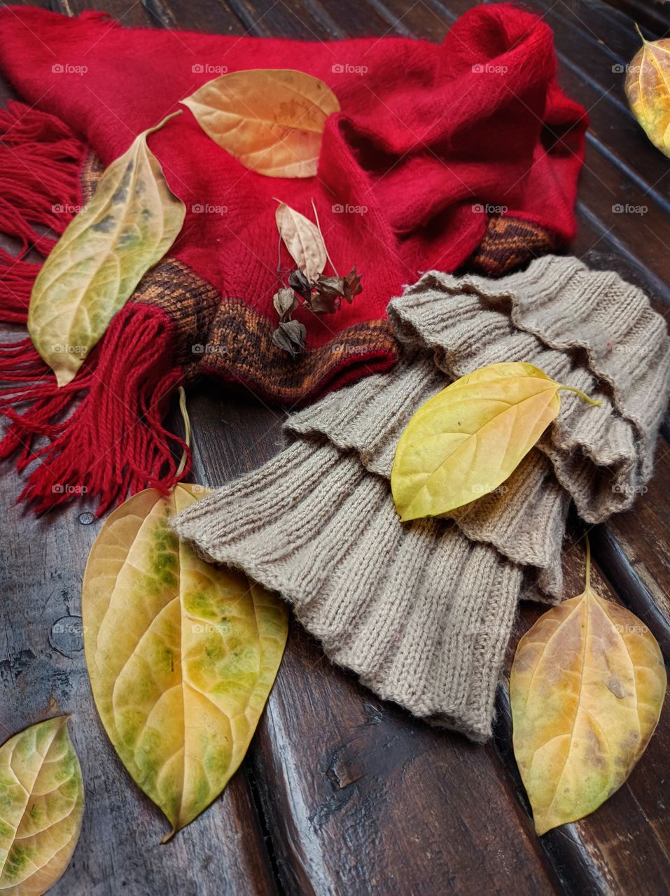 Woolen clothes and dry leaves