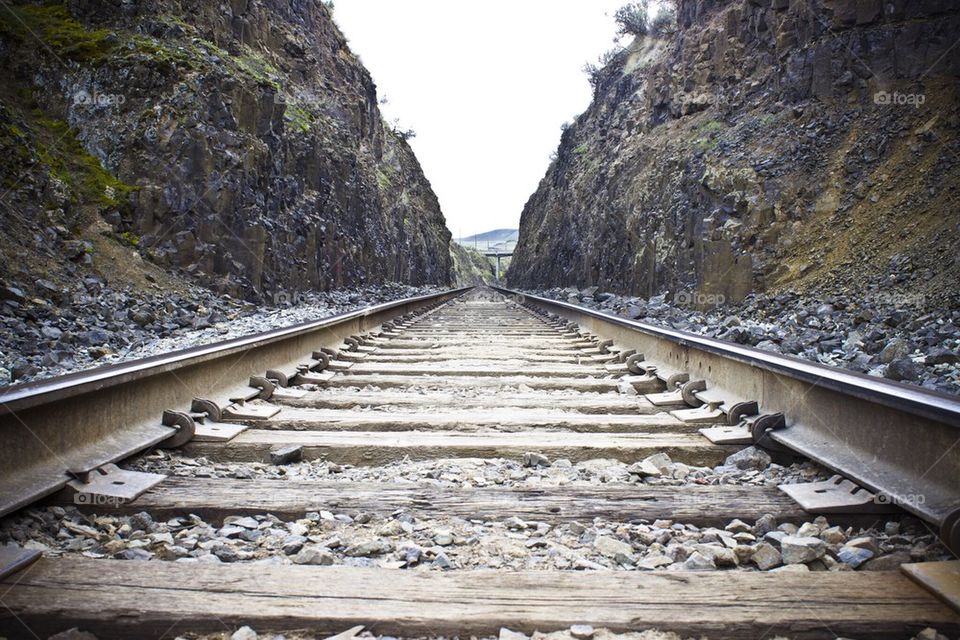Tracks on the Palouse 