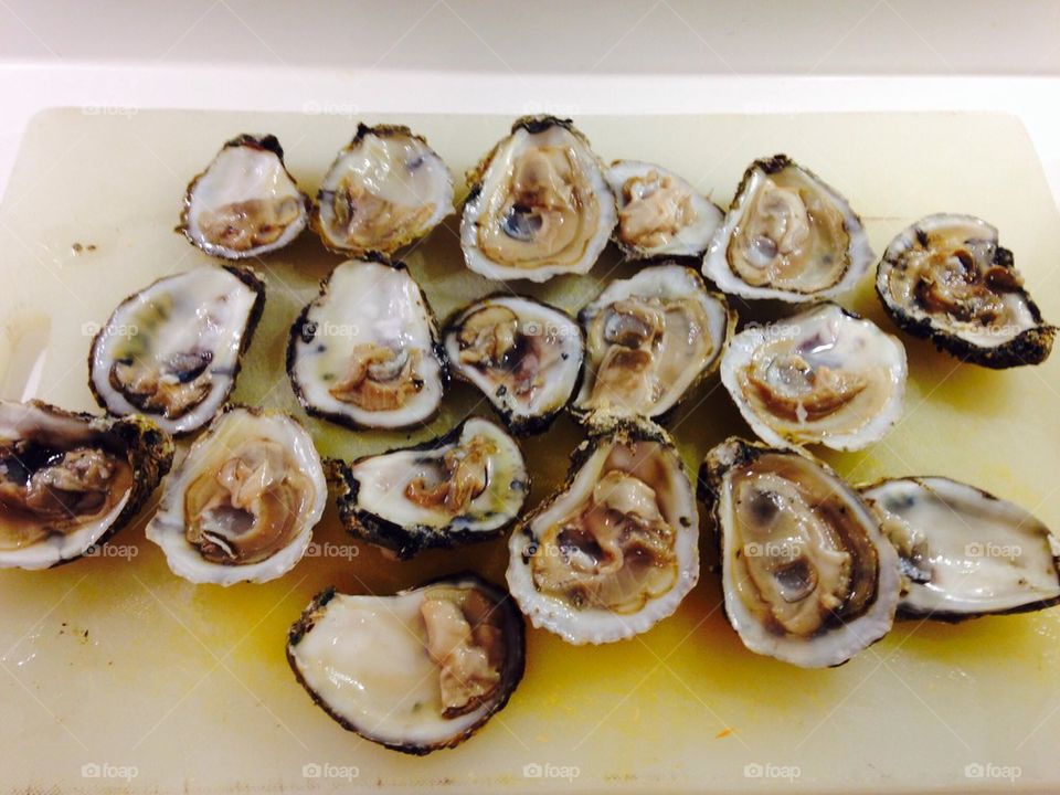 Oysters on the half shell