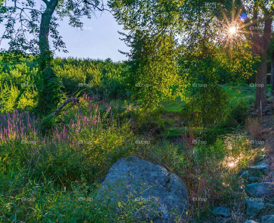 A little perspective, like a little humor, goes along the way 