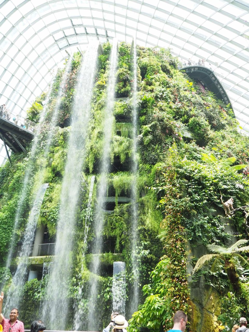 The beauty of the Garden By The Bay Waterfall, Singapore