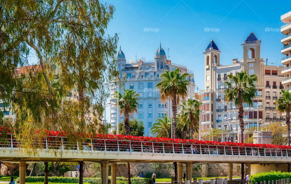 Pont de les Flors. Flowers Bridge across dry riverbed transformed into longest city park in Europe. Blooms are replaced 4 times a year to ensure it is always in bloom. Valencia. Spain.