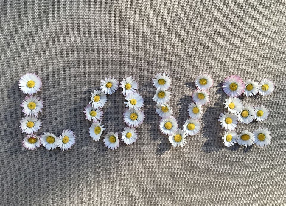 Important word written with daisies 