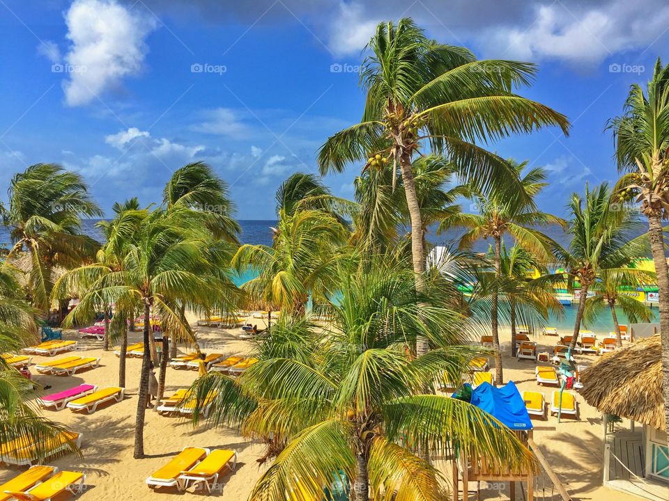 Caribbean Paradise 