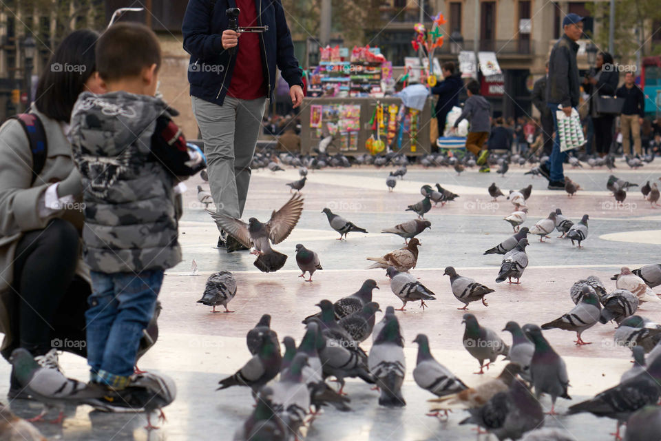 Mother, Son and Pigeons