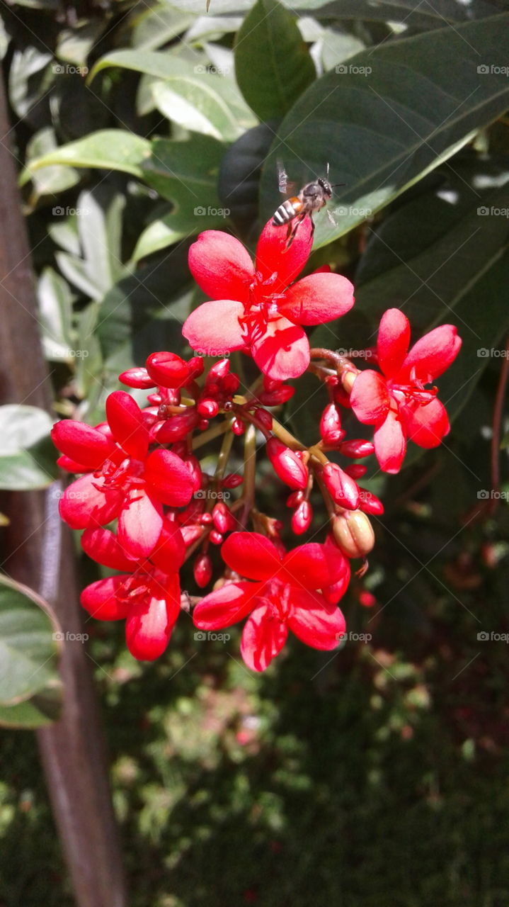 nature create beauty