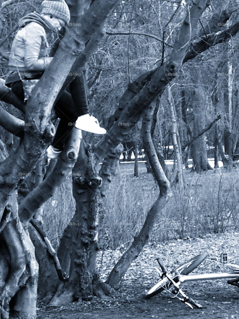 Cyclist rest.  A man is sitting in a tree.  There is a bicycle near the tree