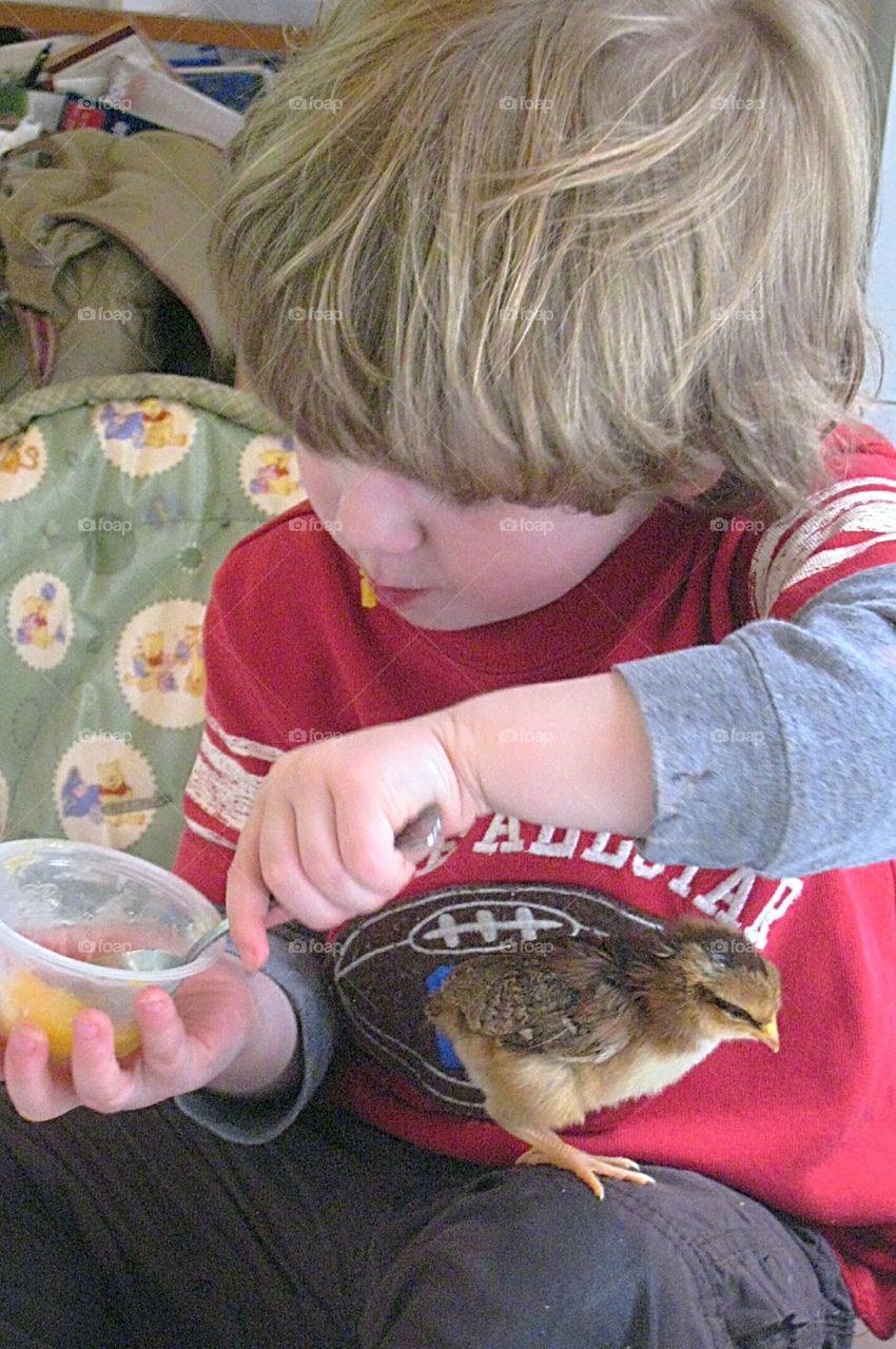 Breakfast time with my baby chick