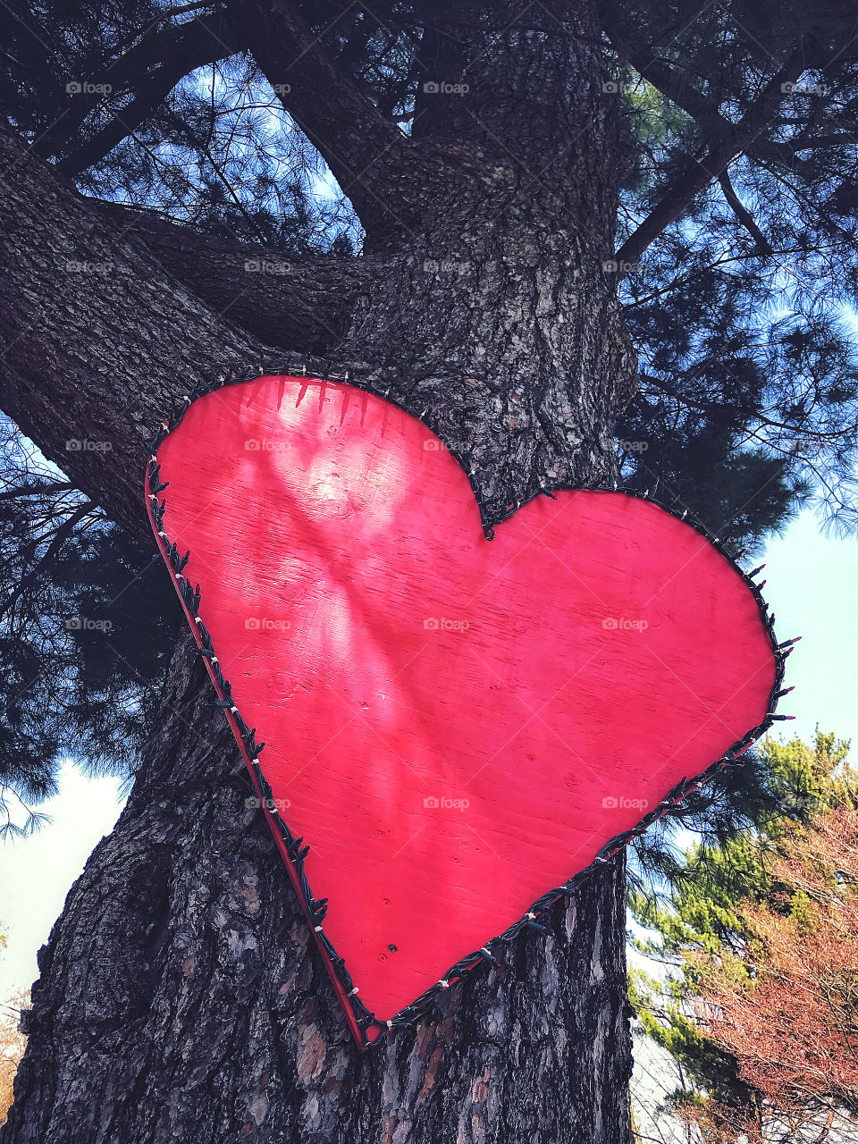 On a tree down the road