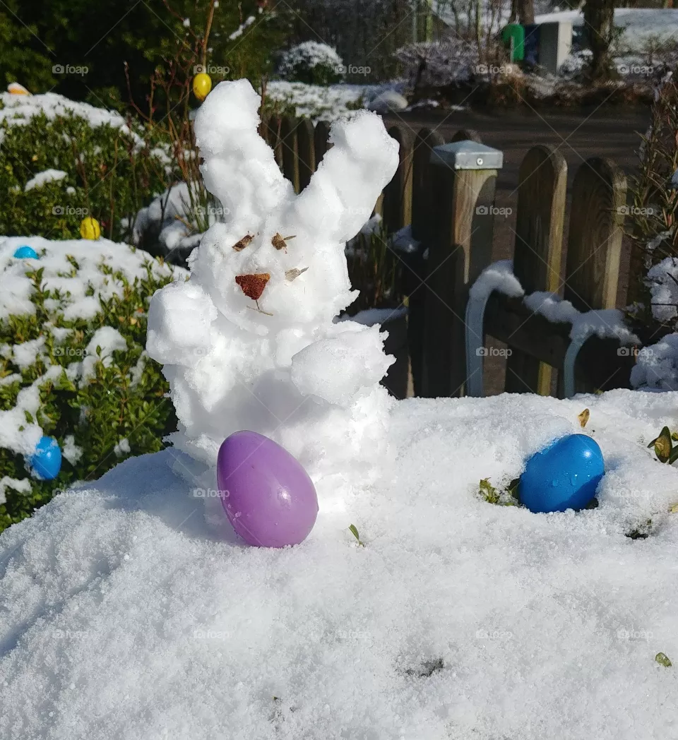 hase rabbit Ostern