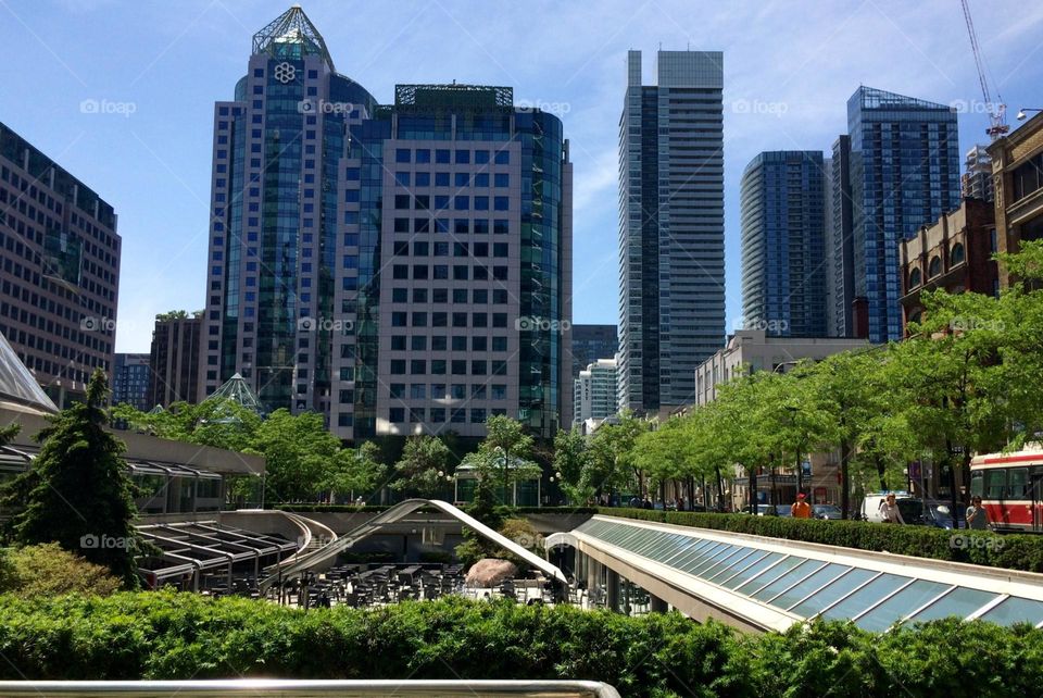 Beautiful urban garden Toronto