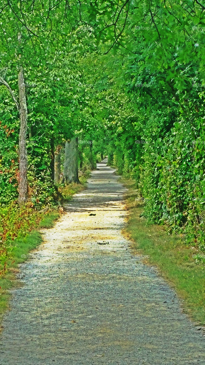 Walk in the park. Taking the narrow path