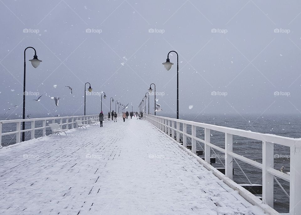 Winter, Snow, Landscape, Cold, Weather