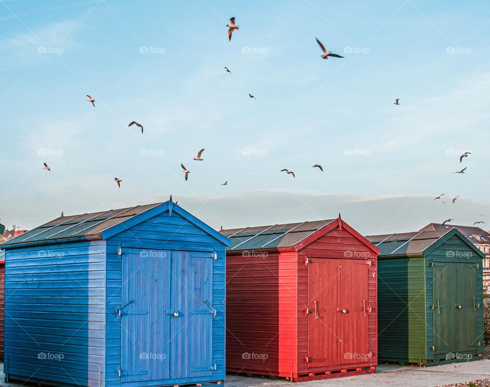 3 beach huts in blue, red and green with seagulls flying overhead 